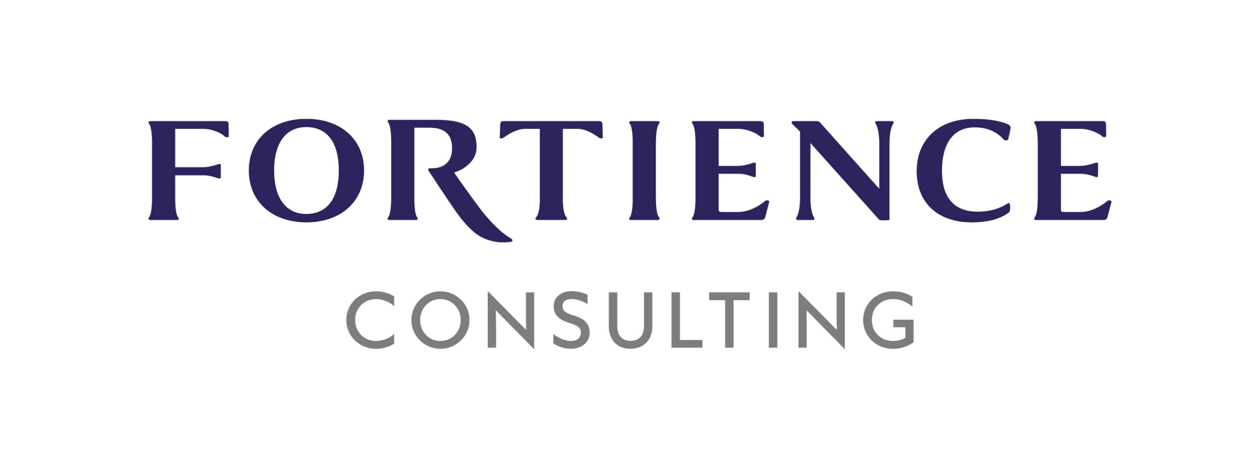 フォーティエンスコンサルティング株式会社